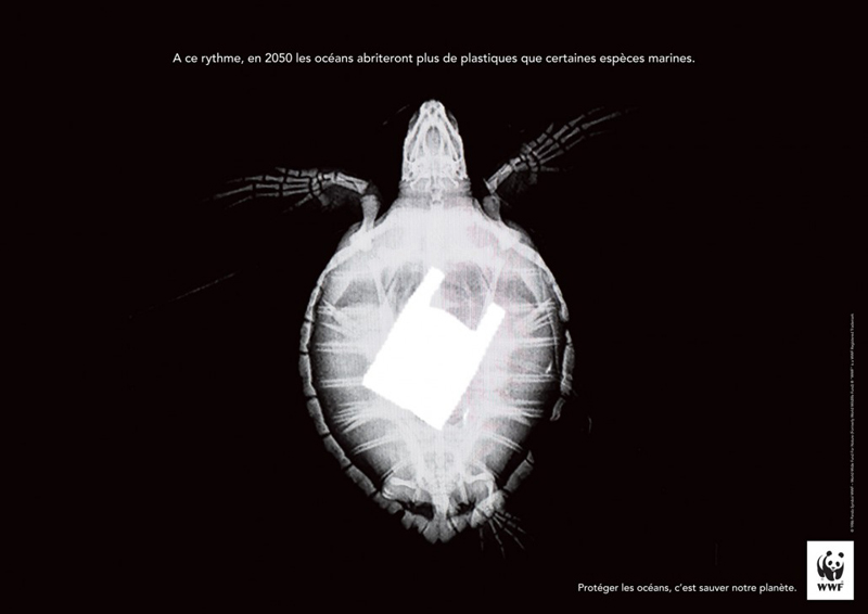 Concours Creative Awards WWF France et Saxoprint