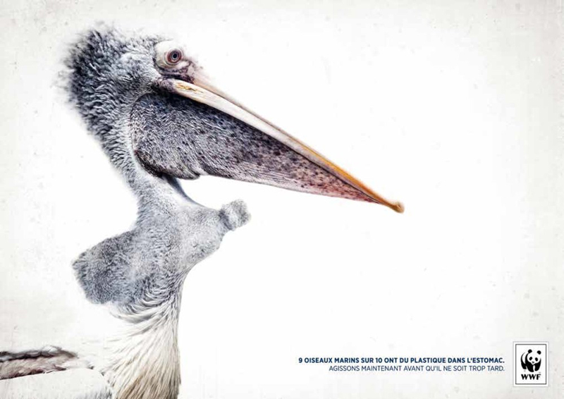 Second prix gagnant 2016 concours Creative Awards WWF France et Saxoprint