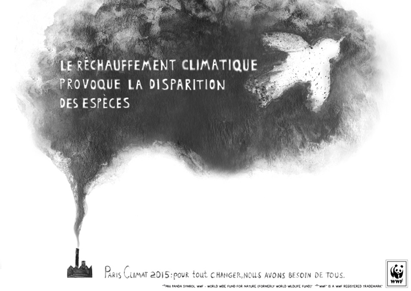 Concours Creative Awards WWF France et Saxoprint