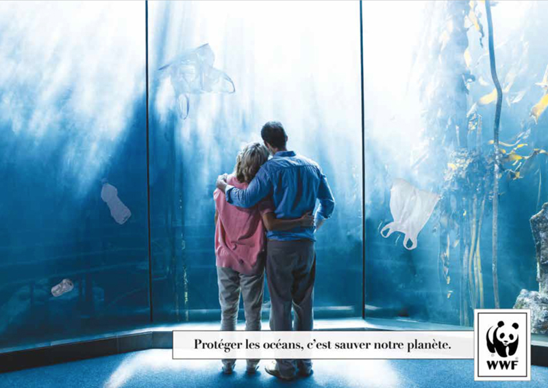 3ème prix gagnant 2016 concours Creative Awards WWF France et Saxoprint