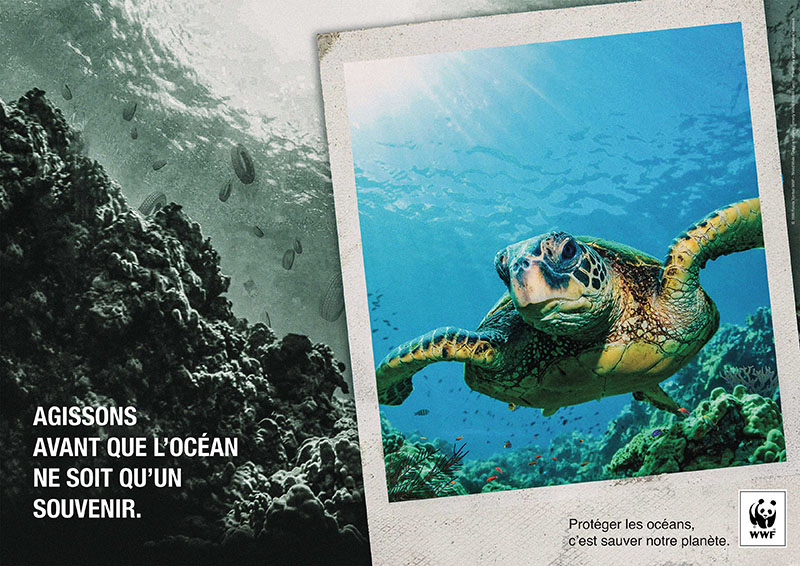 Concours Creative Awards WWF France et Saxoprint