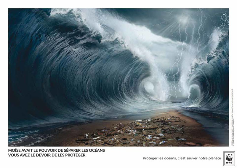 Concours Creative Awards WWF France et Saxoprint