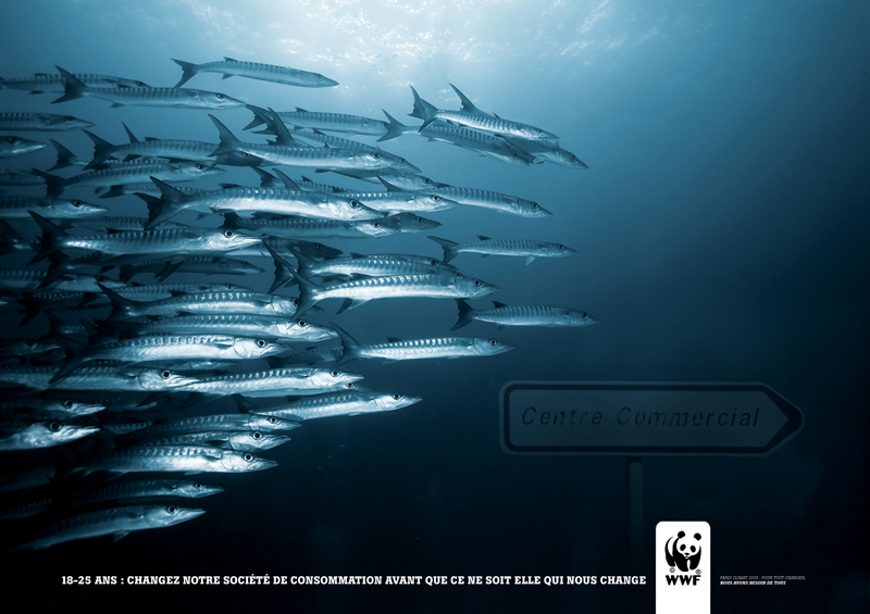 Concours Creative Awards WWF France et Saxoprint