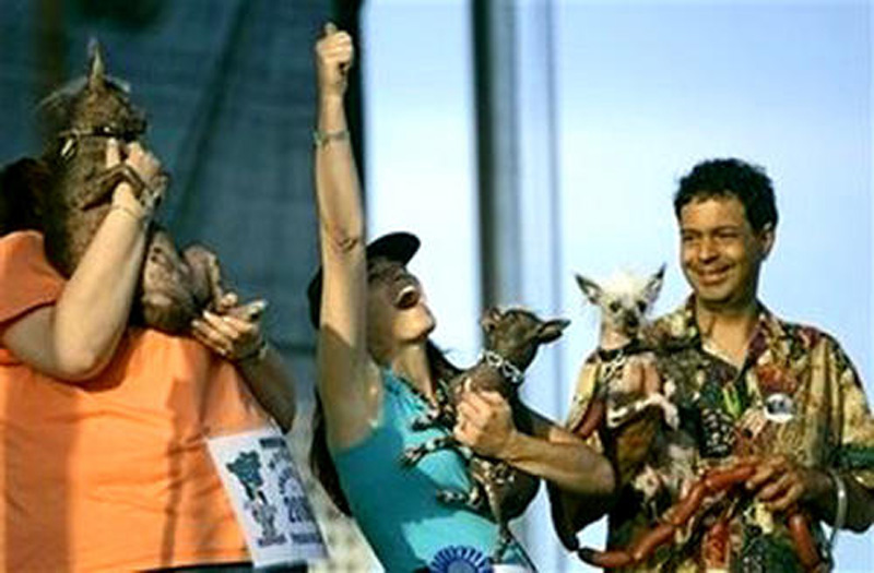 Concours du chien le plus laid du monde en 2008