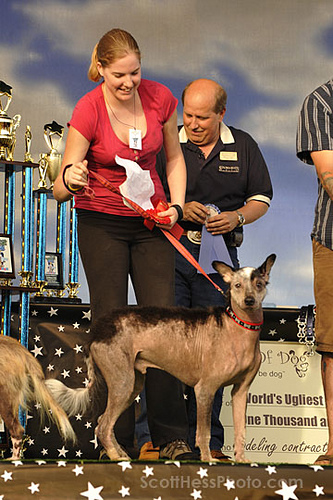 Concours du chien le plus laid du monde en 2009