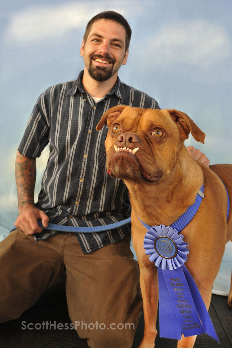 Concours du chien le plus laid du monde en 2009