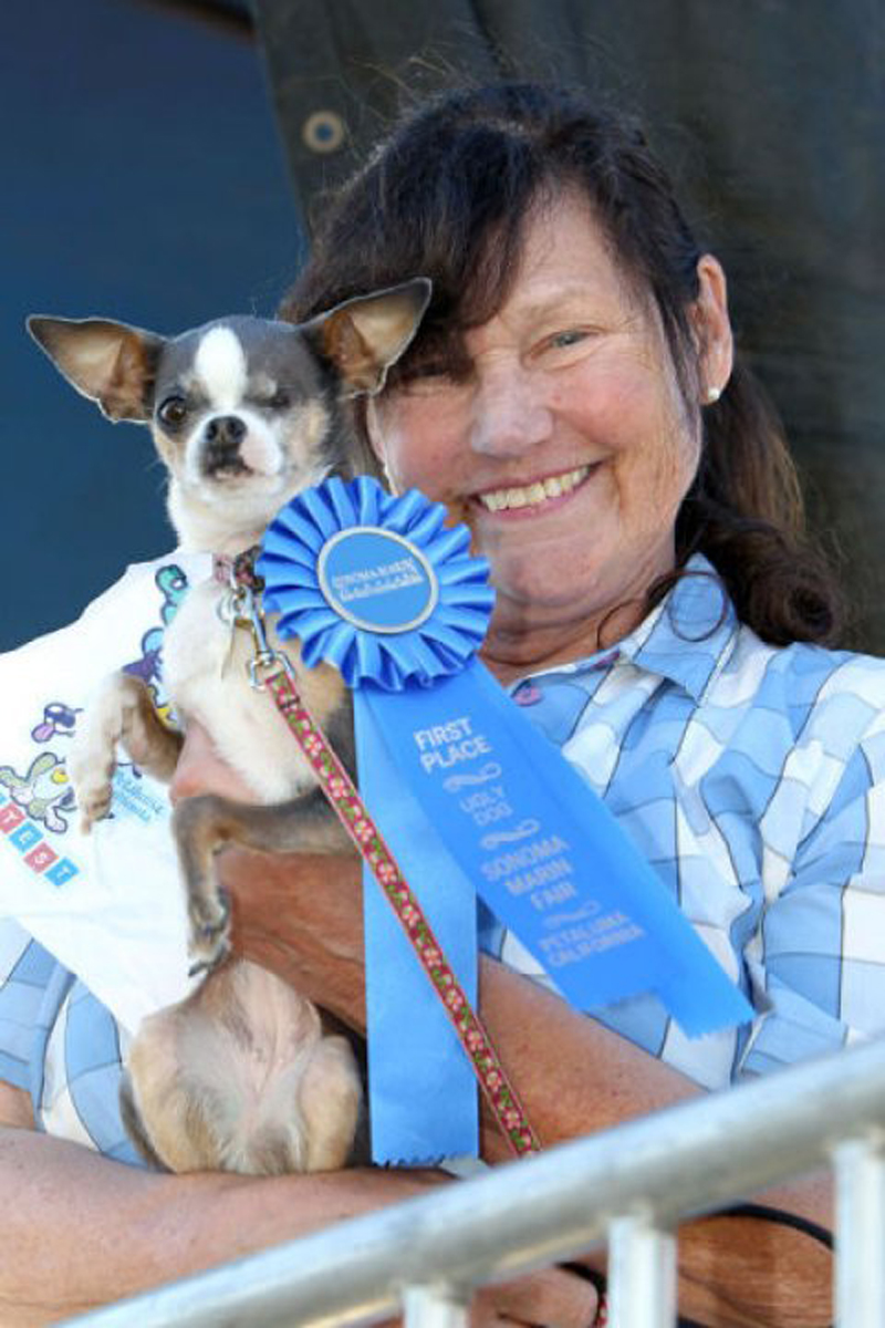Concours du chien le plus laid du monde en 2010