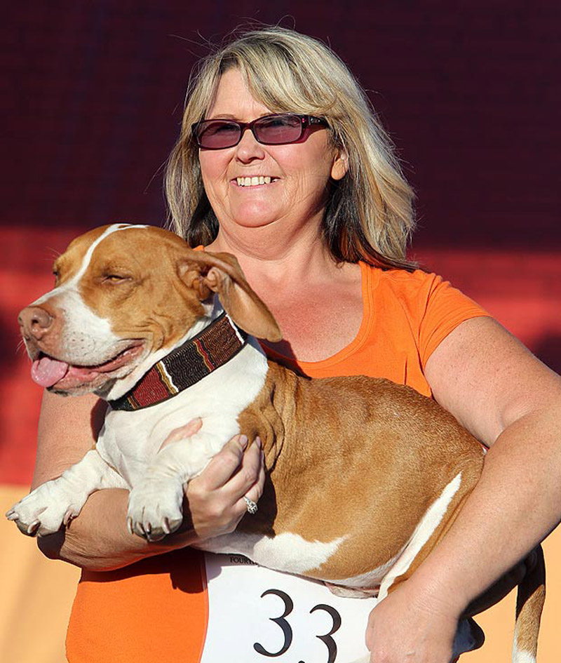 Concours du chien le plus laid du monde en 2013