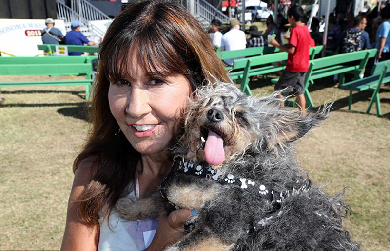 Gagnant 2015 concours du chien le plus laid du monde Winner 2015 World’s Ugliest Dog