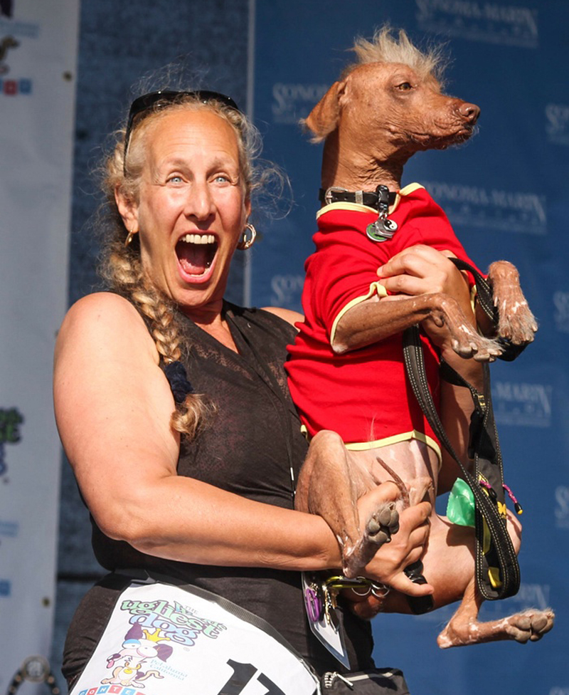 Gagnant 2015 concours du chien le plus laid du monde Winner 2015 World’s Ugliest Dog