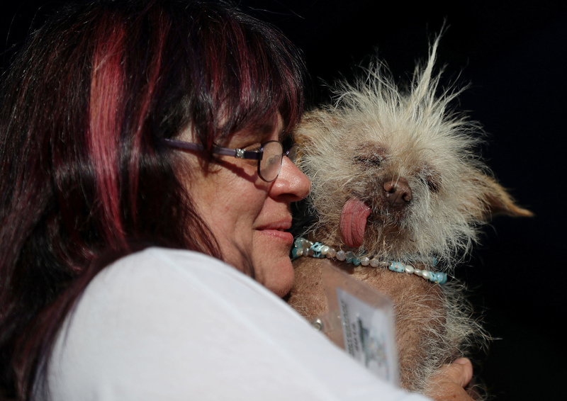 Concours du chien le plus laid du monde Winner 2016 World’s Ugliest Dog 