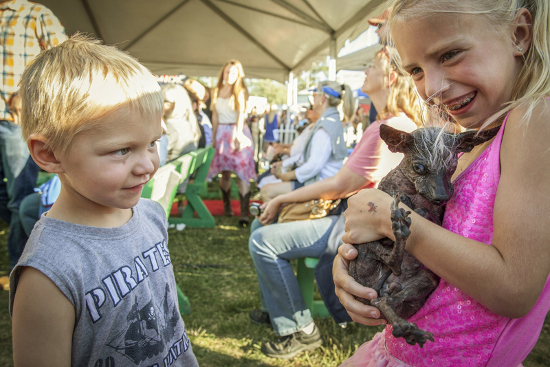 Concours du chien le plus laid du monde Winner 2016 World’s Ugliest Dog 