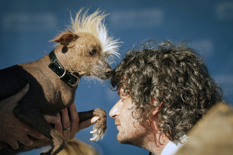 Concours du chien le plus laid du monde Winner 2016 World’s Ugliest Dog 