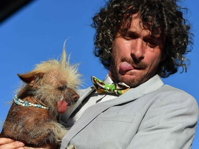 Concours du chien le plus laid du monde Winner 2016 World’s Ugliest Dog 