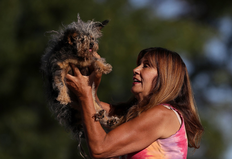 Concours du chien le plus laid du monde Winner 2016 World’s Ugliest Dog 