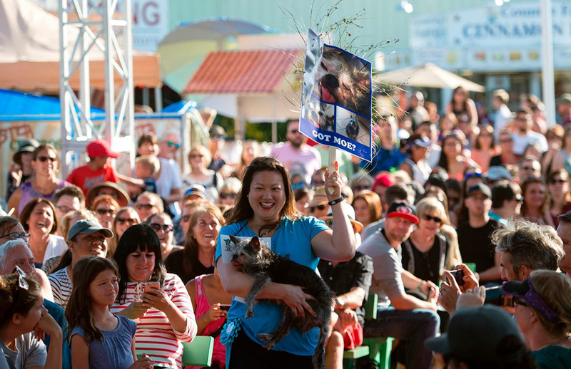 Concours du chien le plus laid du monde Winner 2017 World’s Ugliest Dog