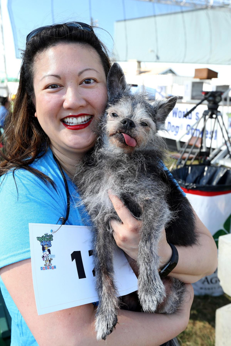 Concours du chien le plus laid du monde Winner 2017 World’s Ugliest Dog