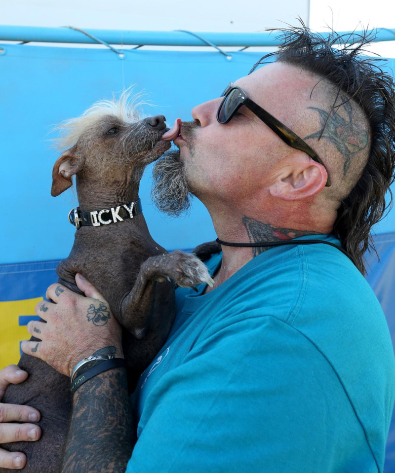 Concours du chien le plus laid du monde Winner 2017 World’s Ugliest Dog