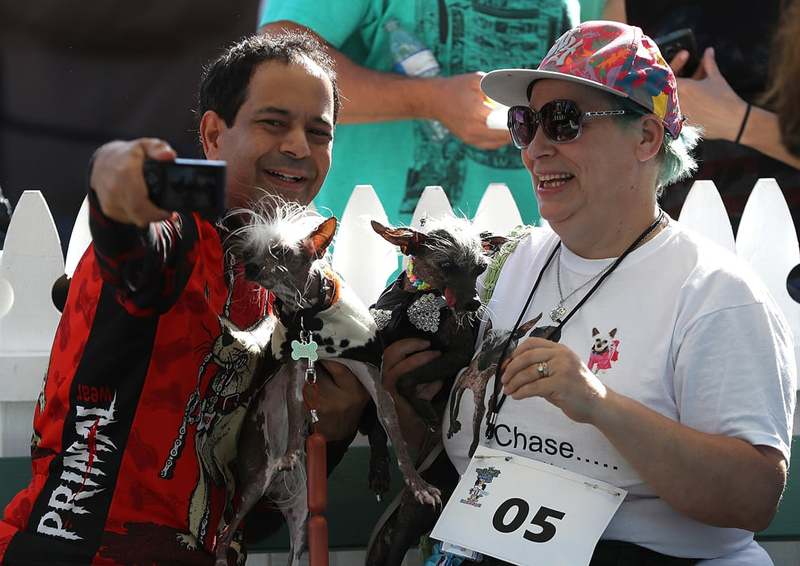 Concours du chien le plus laid du monde Winner 2017 World’s Ugliest Dog