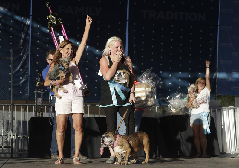 Concours du chien le plus laid du monde Winner 2018 World’s Ugliest Dog