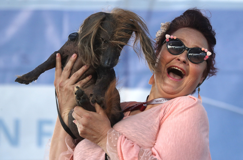 Concours du chien le plus laid du monde 2019 World’s Ugliest Dog 2019