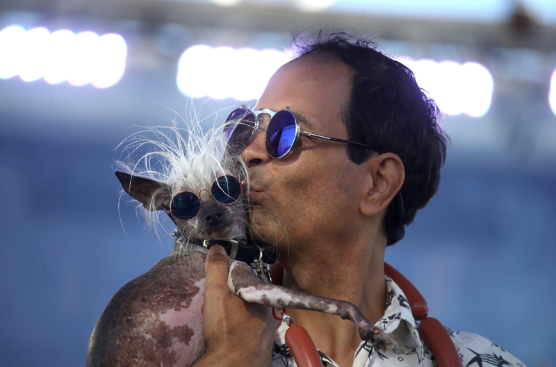 Concours du chien le plus laid du monde 2019 World’s Ugliest Dog 2019