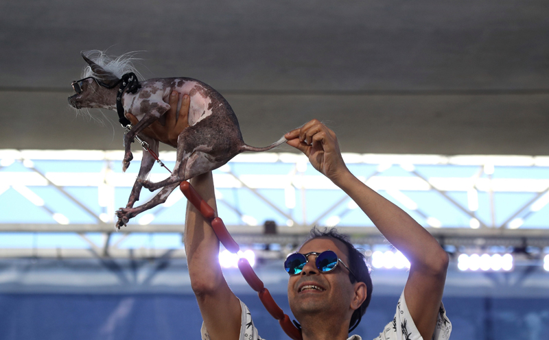 Concours du chien le plus laid du monde 2019 World’s Ugliest Dog 2019