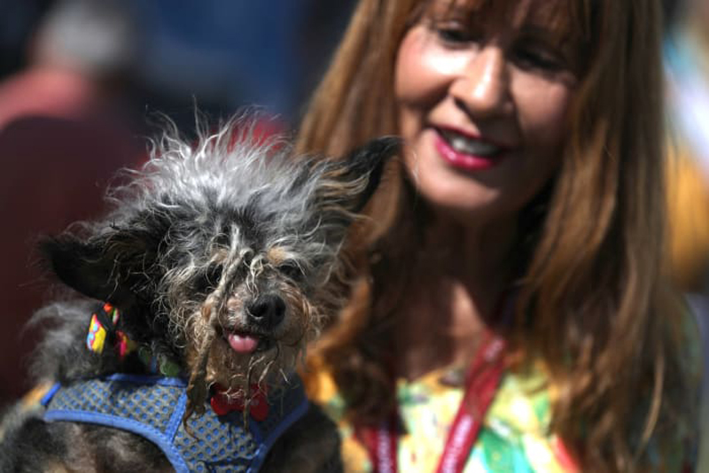 Concours du chien le plus laid du monde 2019 World’s Ugliest Dog 2019