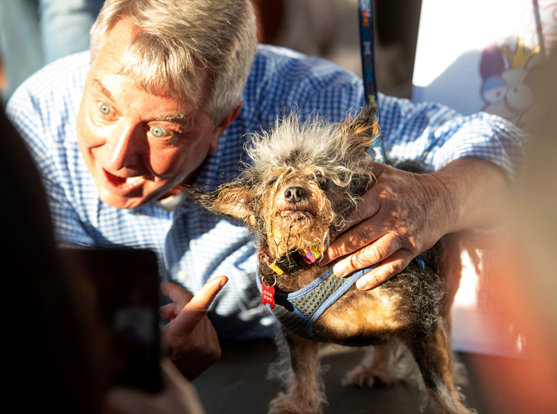 Concours du chien le plus laid du monde 2019 World’s Ugliest Dog 2019