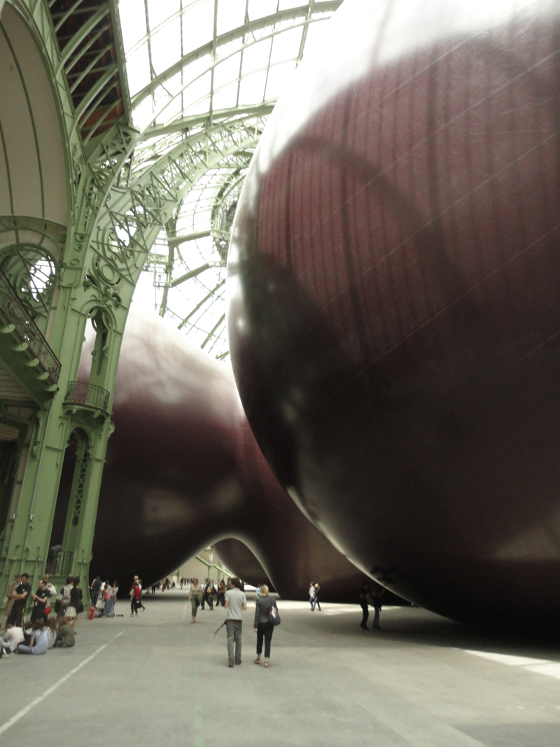 Exposition Monumenta au grand palais paris 2011