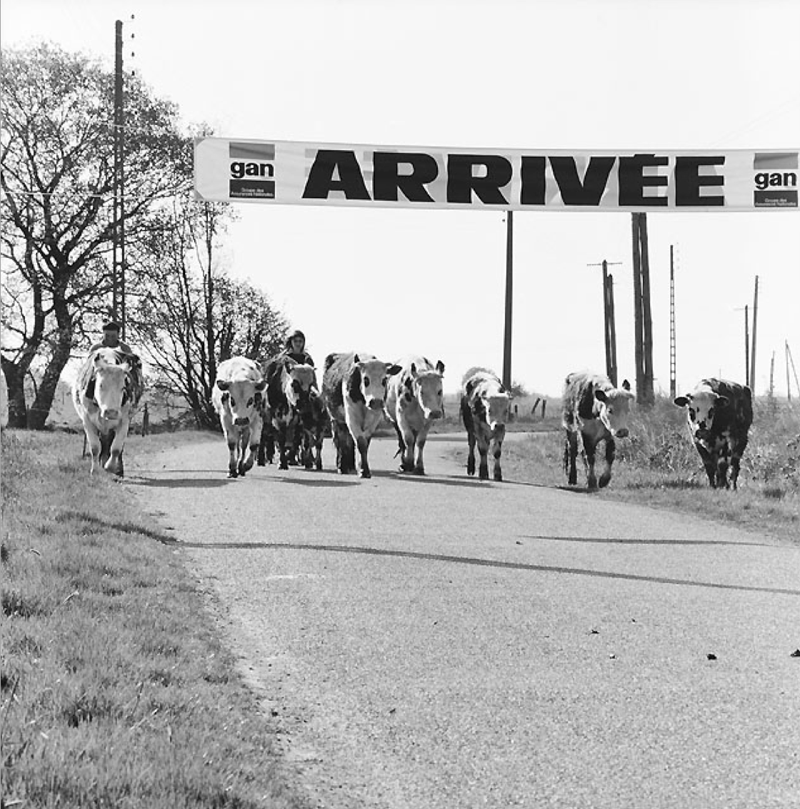 René Maltête Photographe