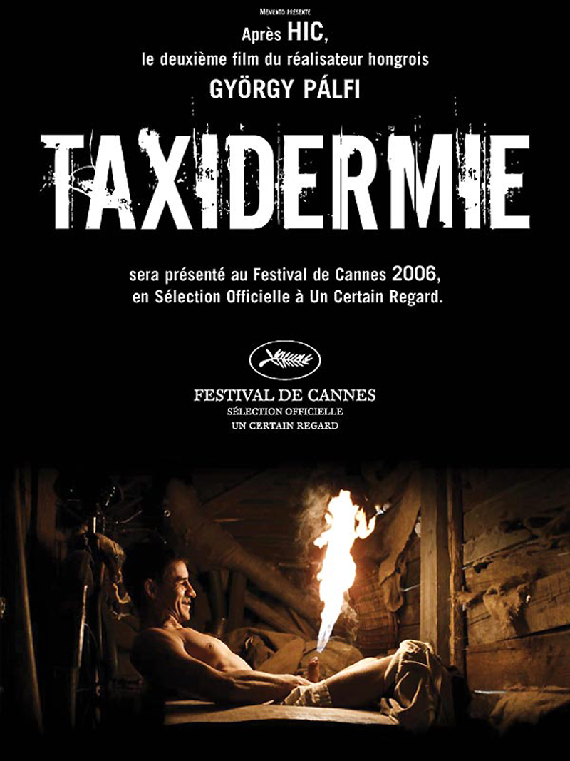 Cinéma Taxidermie