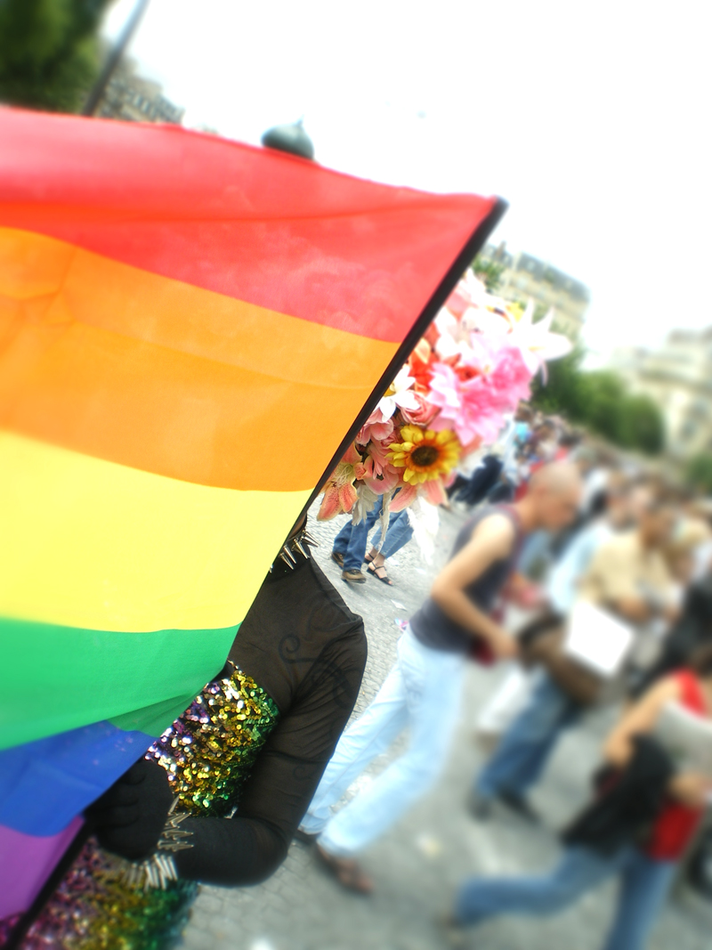 Gay pride 2008