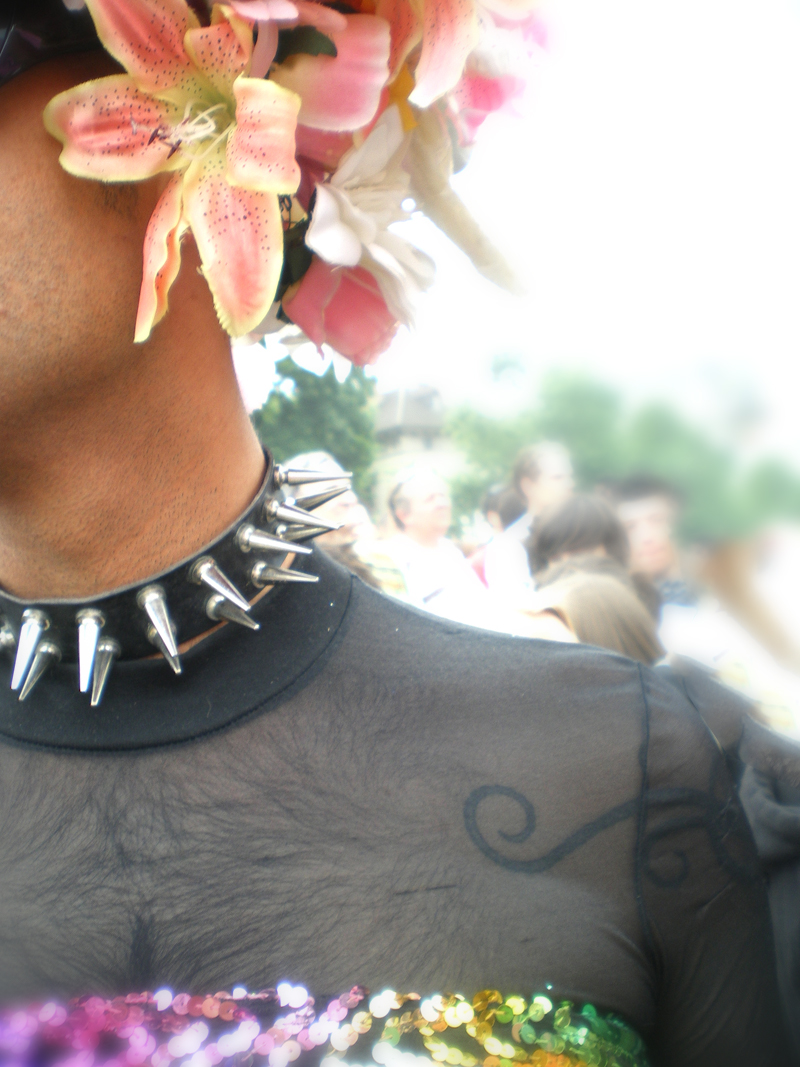 Gay pride 2008