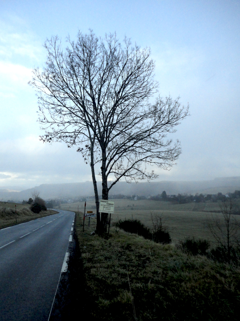 Photo du jour le 05-01-2012 du peintre contemporain Français Jeremie Baldocchi