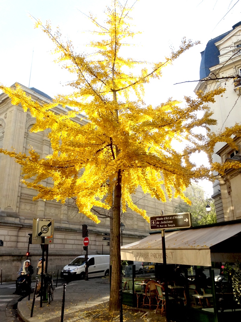 Photo du jour le 10-12-2013 du peintre contemporain Français Jeremie Baldocchi