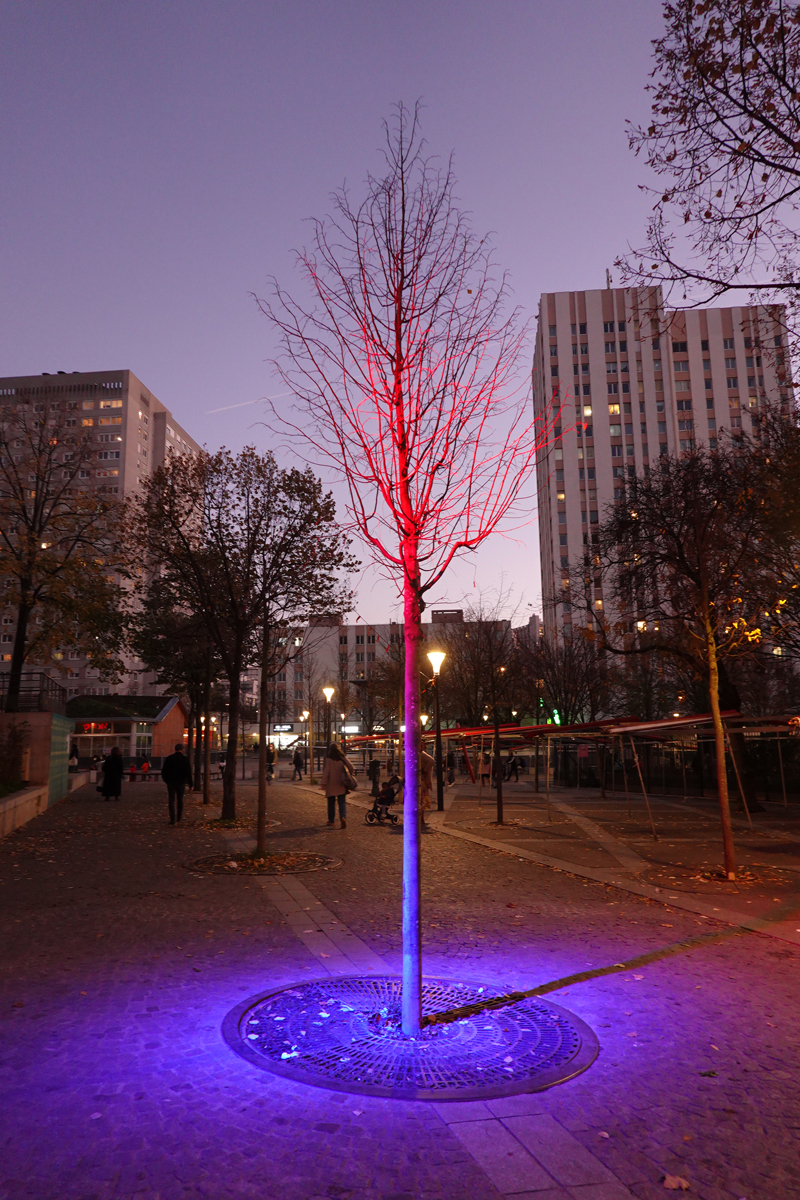 Photo du jour le 03-12-2020 du peintre contemporain Français Jérémie Baldocchi