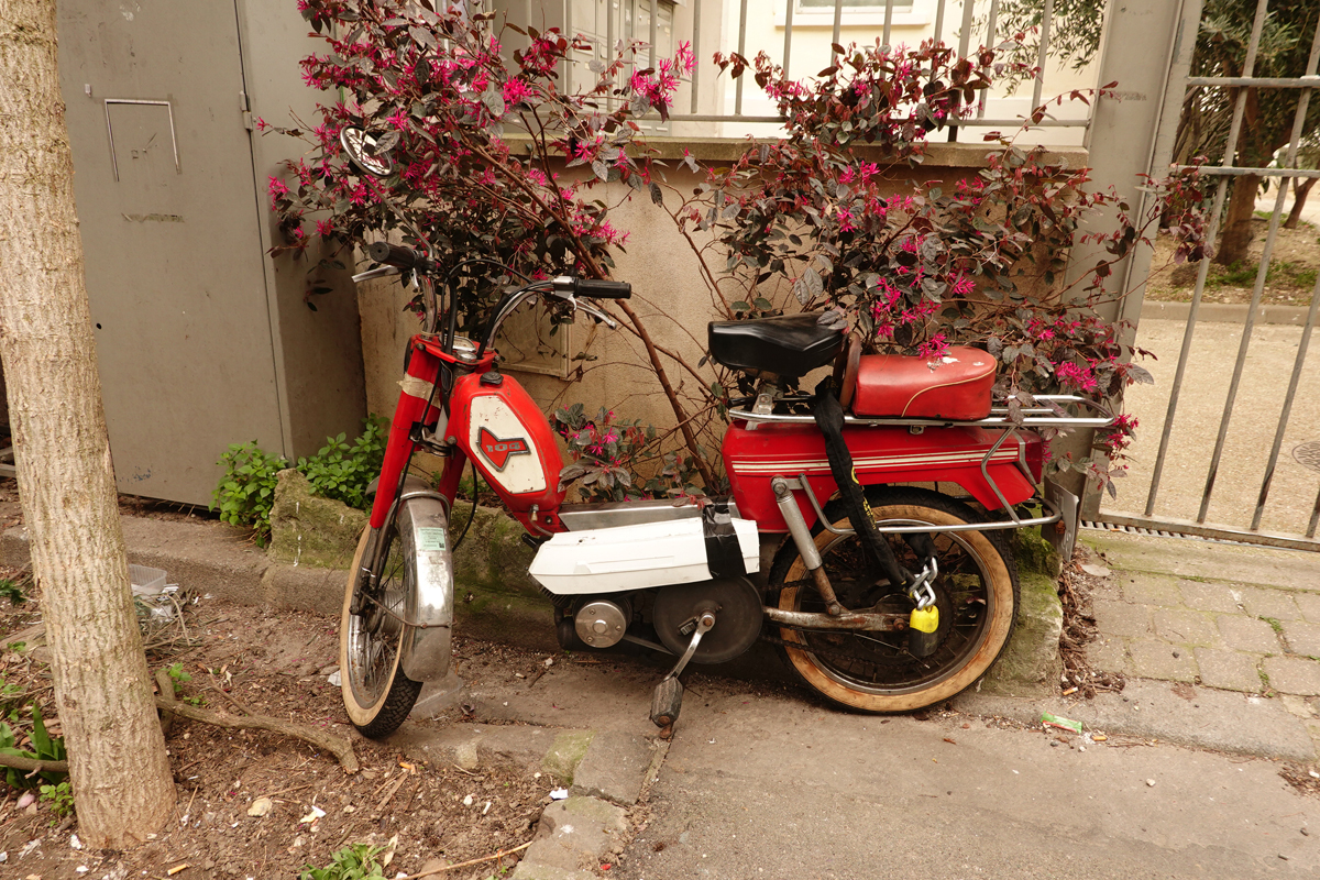 Photo du jour le 28-03-2022 du peintre contemporain Français Jérémie Baldocchi