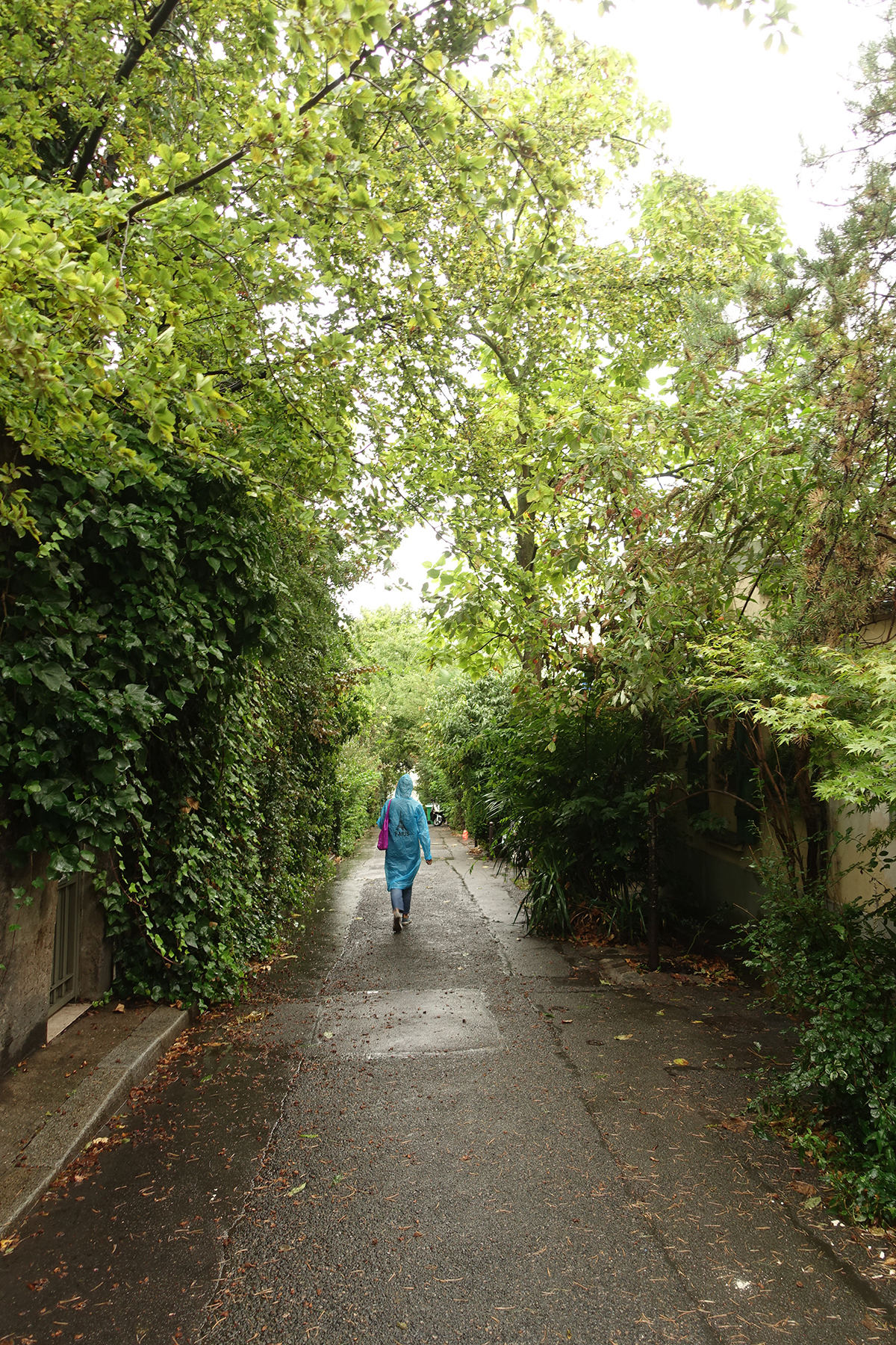 Photo du jour le 21-09-2023 du peintre contemporain Français Jérémie Baldocchi