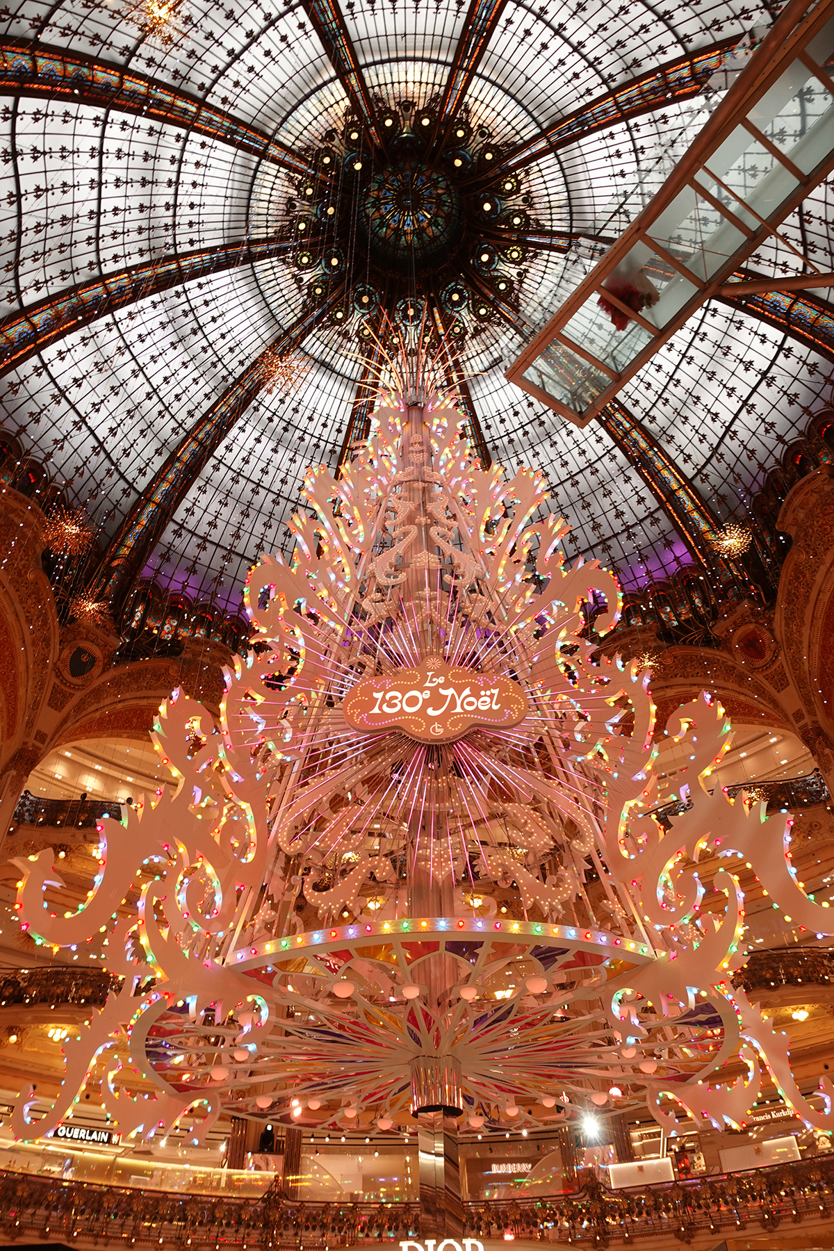 Photo du jour le 09-12-2024 du peintre contemporain Français Jérémie Baldocchi