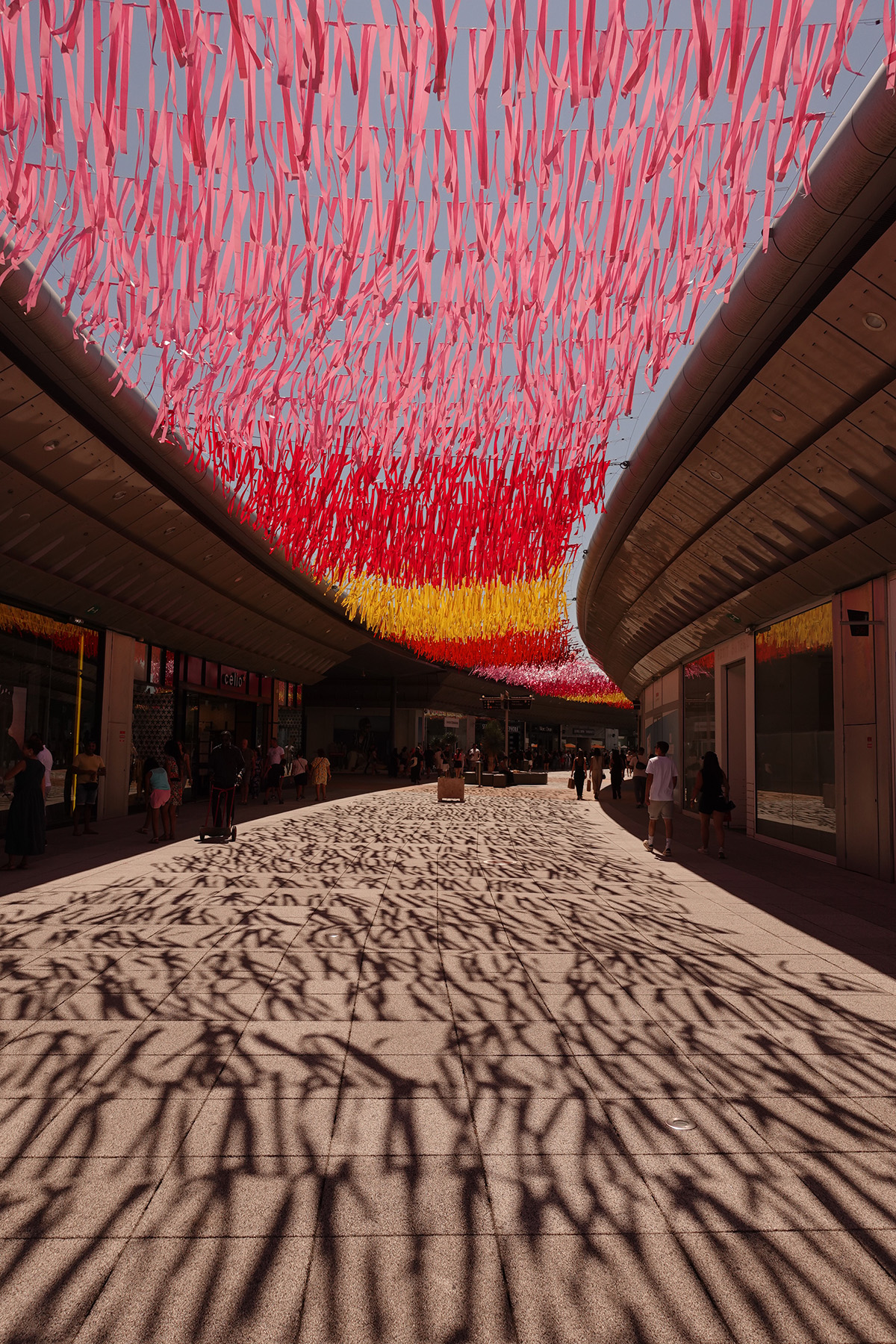 Photo du jour du 02-08-2025 de Jérémie Baldocchi