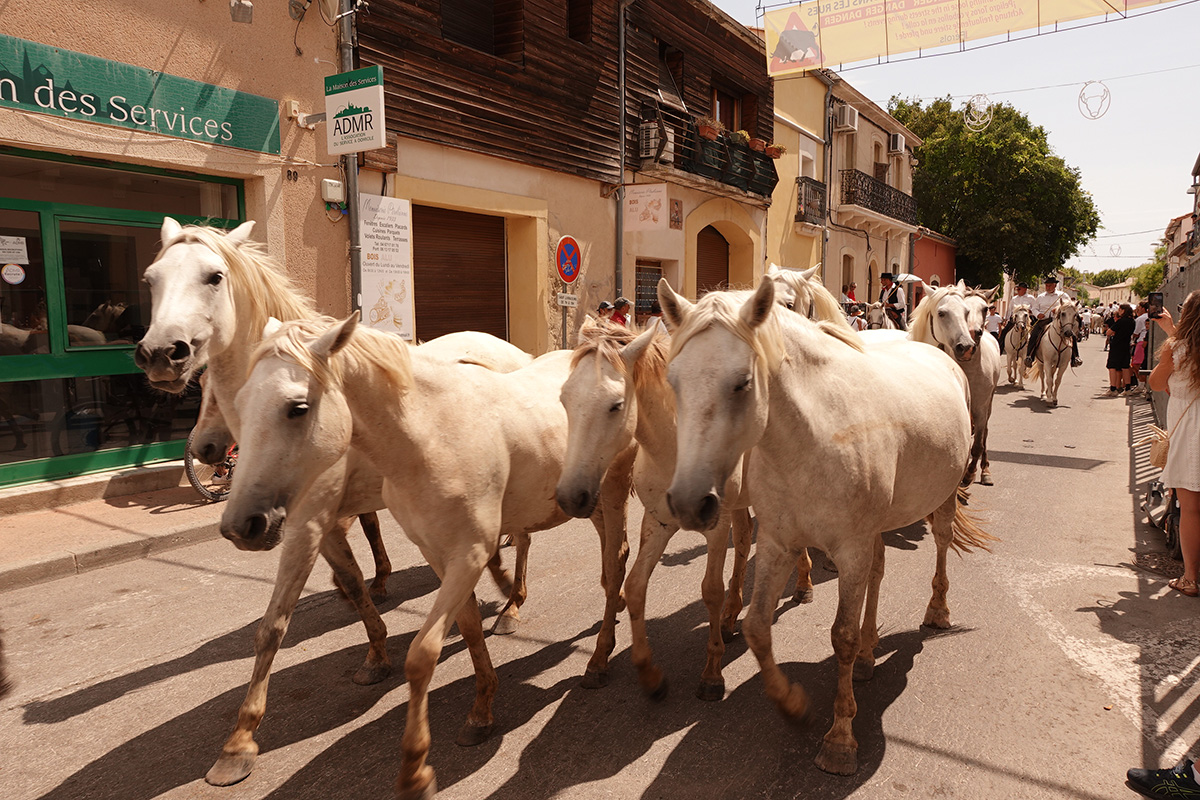Photo du jour du 06-08-2025 de Jérémie Baldocchi