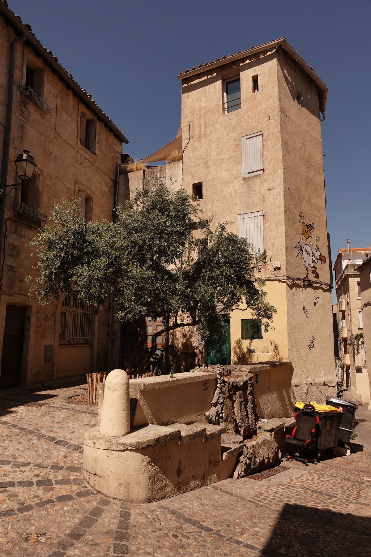 Photo du jour du 13-08-2025 de Jérémie Baldocchi