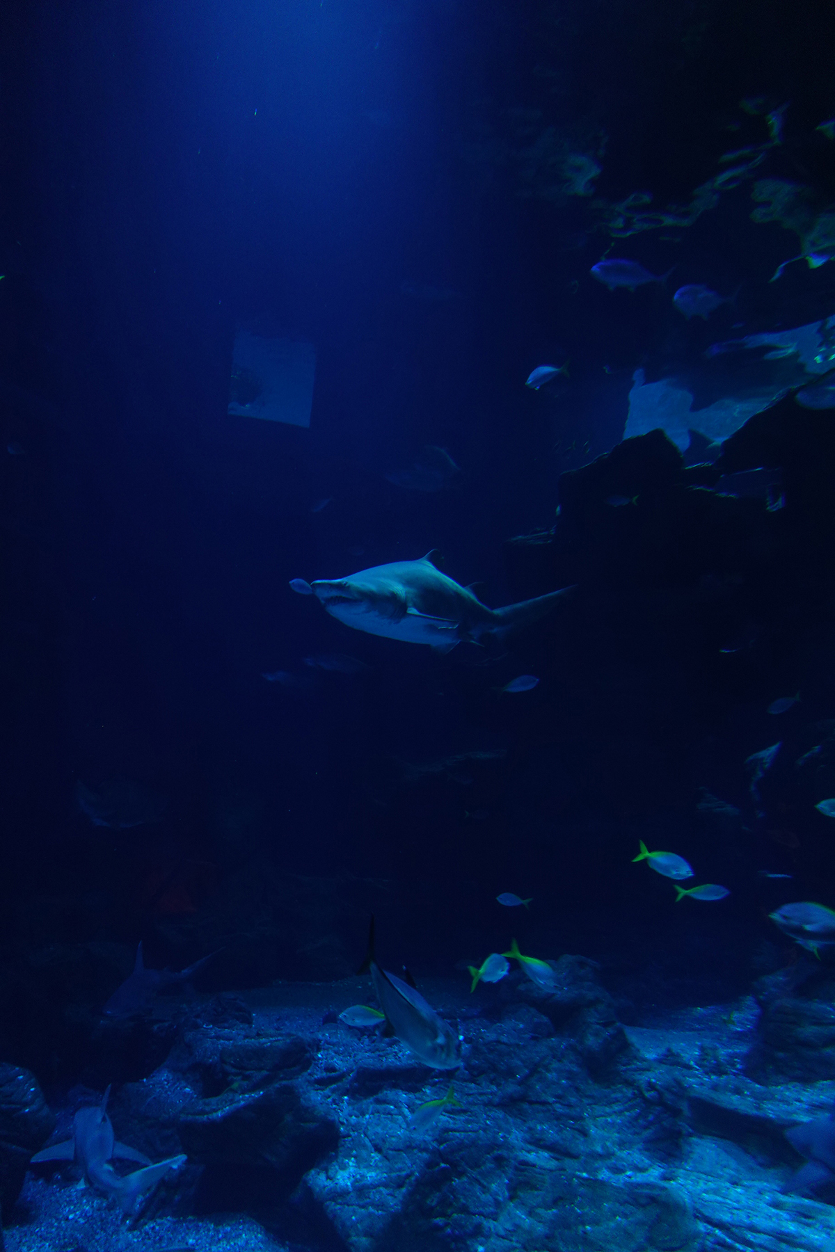 Photo du jour du 19-08-2025 de Jérémie Baldocchi