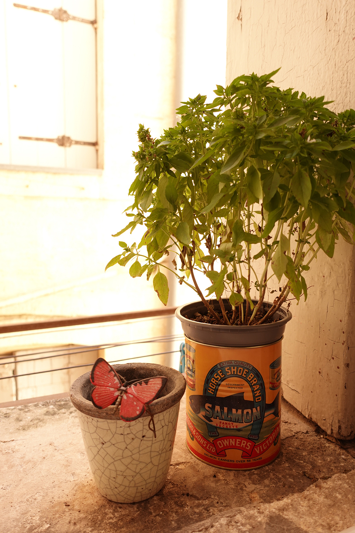 Photo du jour du 26-08-2025 de Jérémie Baldocchi