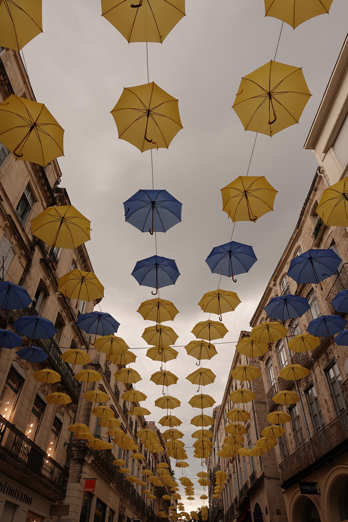 Photo du jour du 27-07-2025 de Jérémie Baldocchi