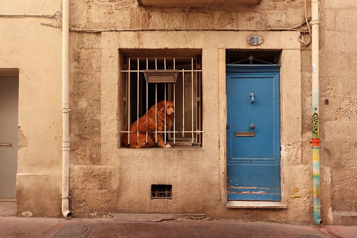 Photo du jour le 30-05-2025 du peintre contemporain Français Jérémie Baldocchi