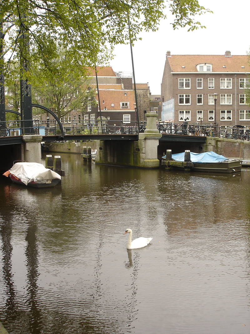 Mon voyage à Amsterdam