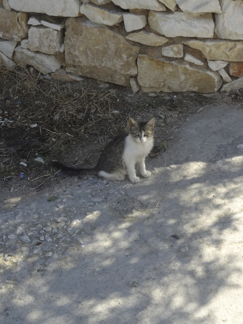 Mon voyage en Grèce - île de Paros - Naoussa