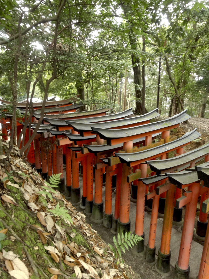 Mon voyage à Kyoto au Japon